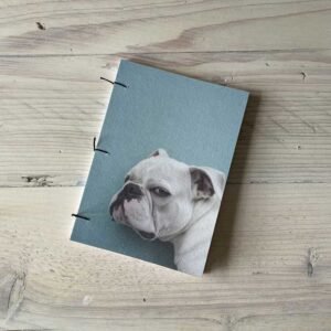 Test 2 - Image 1