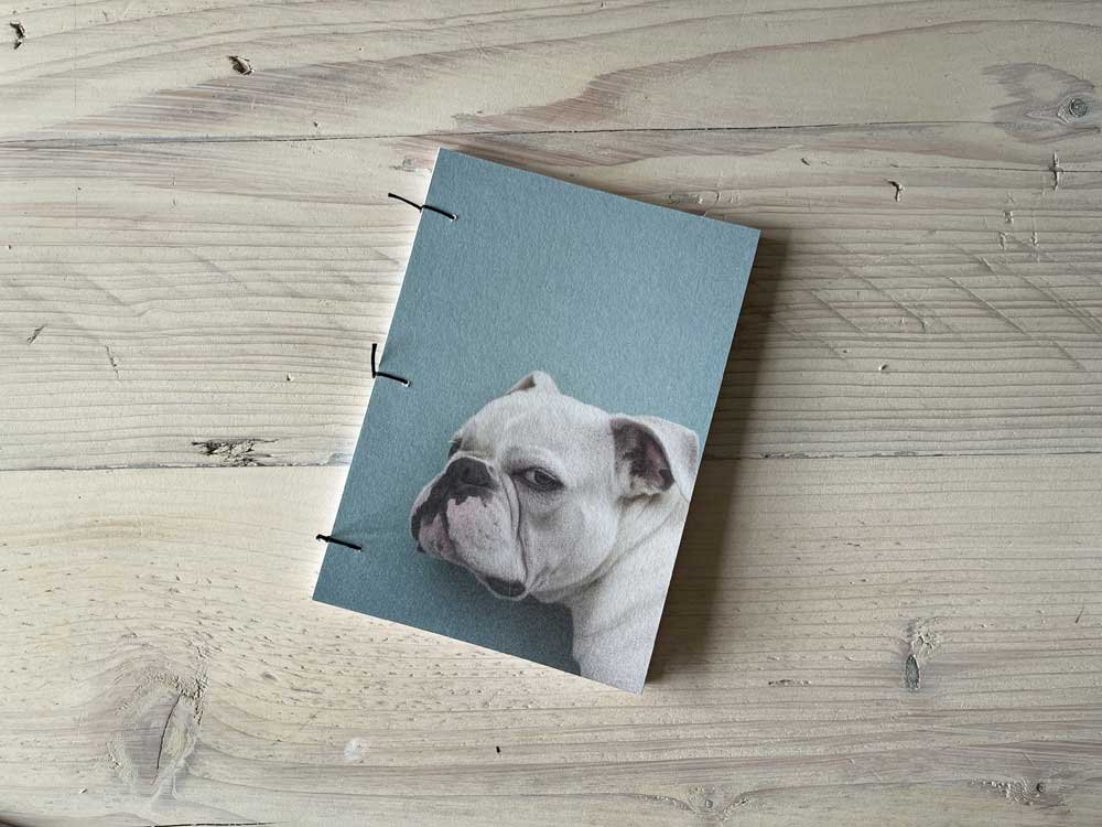 Test 2 - Image 1